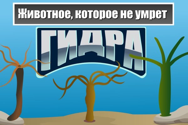 Кракен магазин нарко